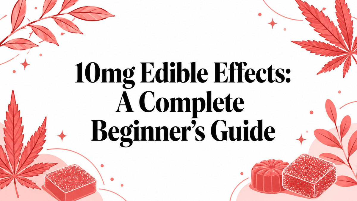 10mg Edible Effects: A Complete Beginner's Guide