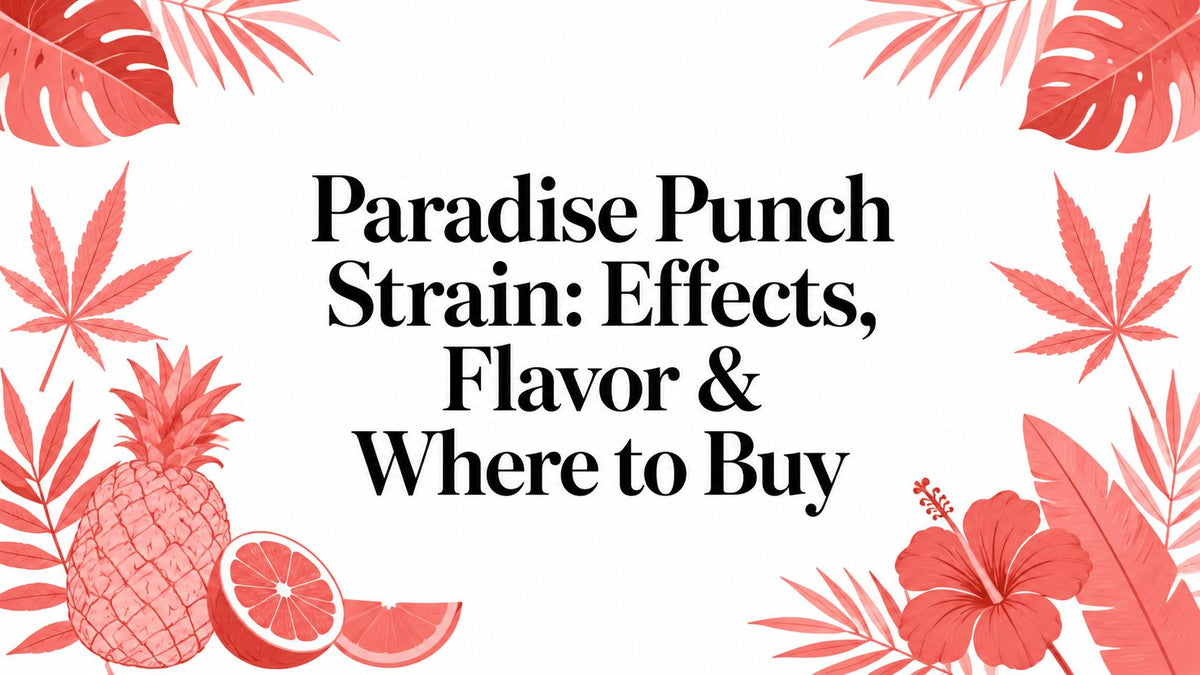 Paradise Punch Strain: Effects, Flavor & Where to Buy