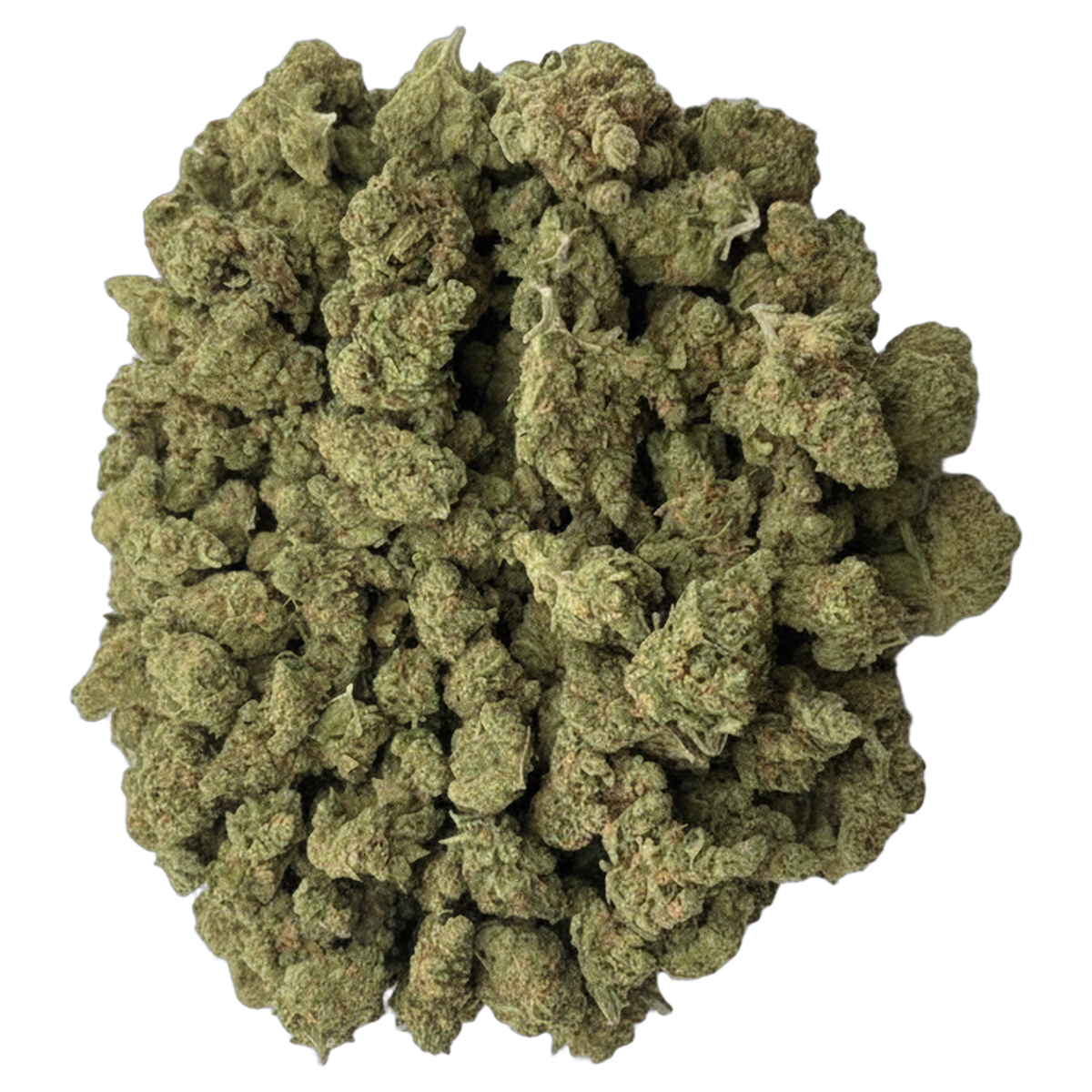 Blue Dream premium indoor THCA flower bulk