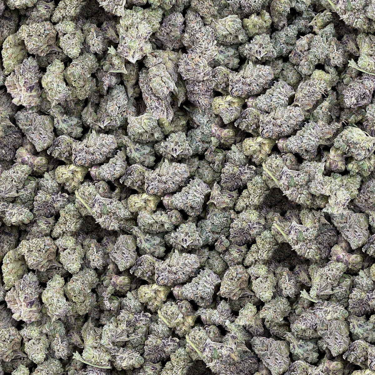 Bubba's Girl smalls THCA flower — boutique craft indoor, bulk