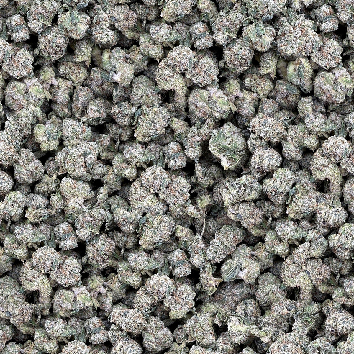 Pink Runtz smalls THCA flower — boutique craft indoor, bulk