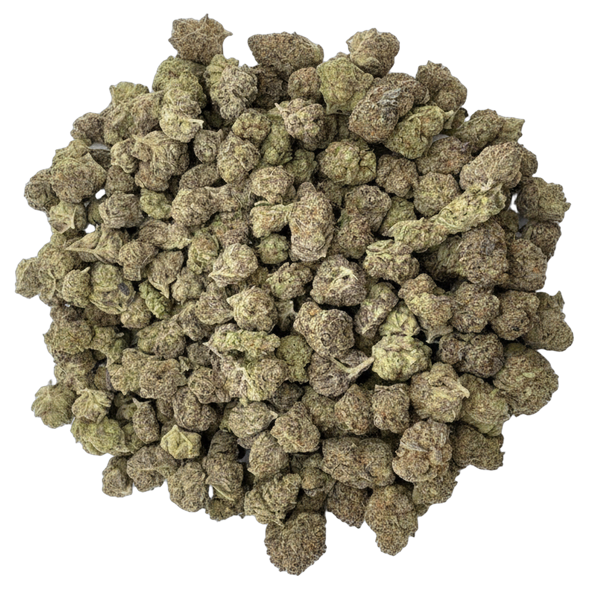 Purple Punch premium indoor THCA flower bulk