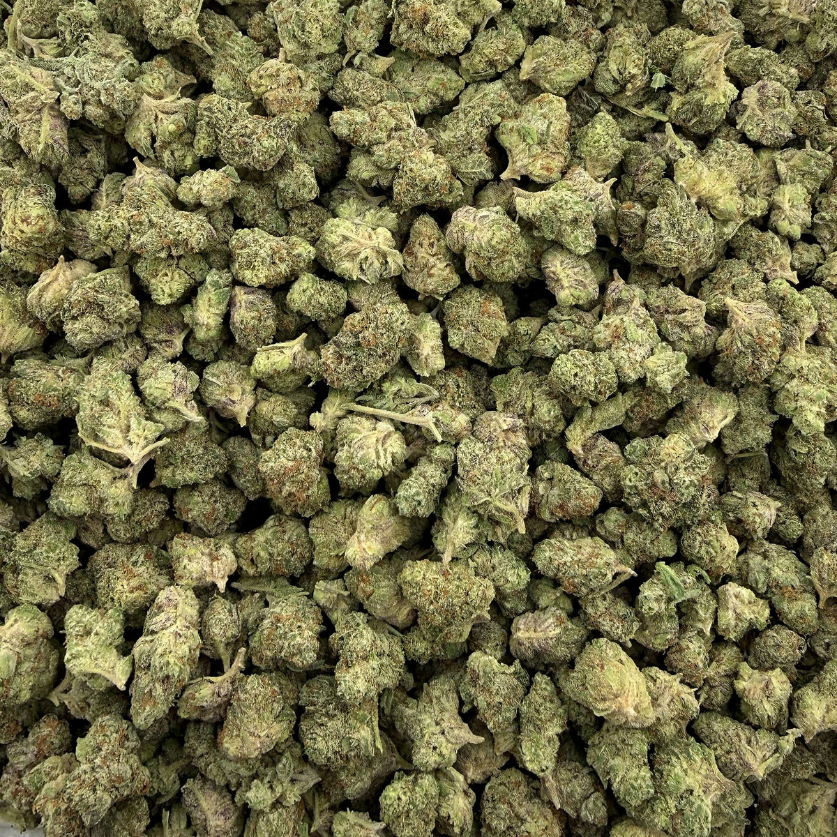 Shortcake smalls THCA flower — premium