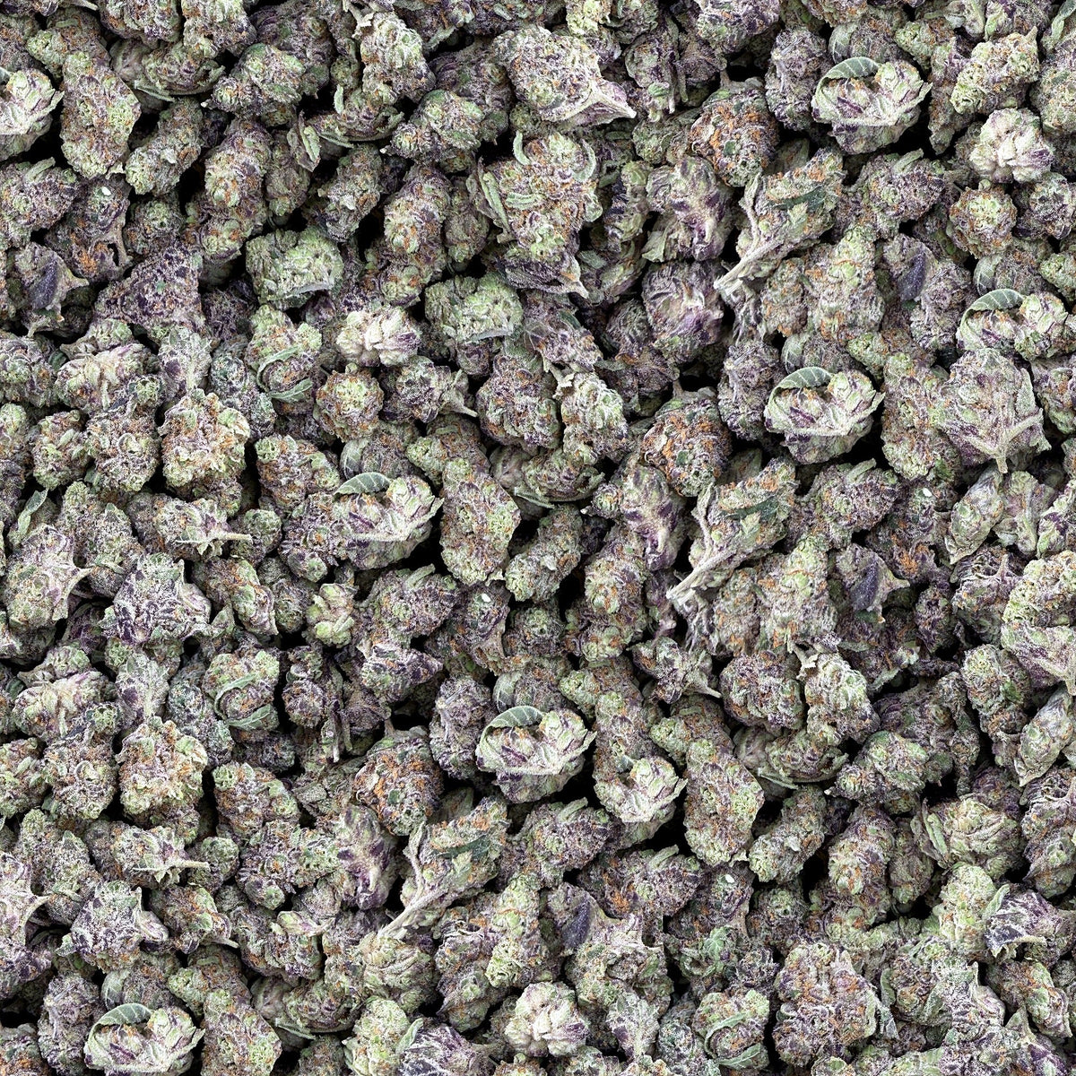 Sunday Brunch smalls THCA flower — boutique craft indoor, bulk